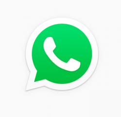 WhatsApp Icon